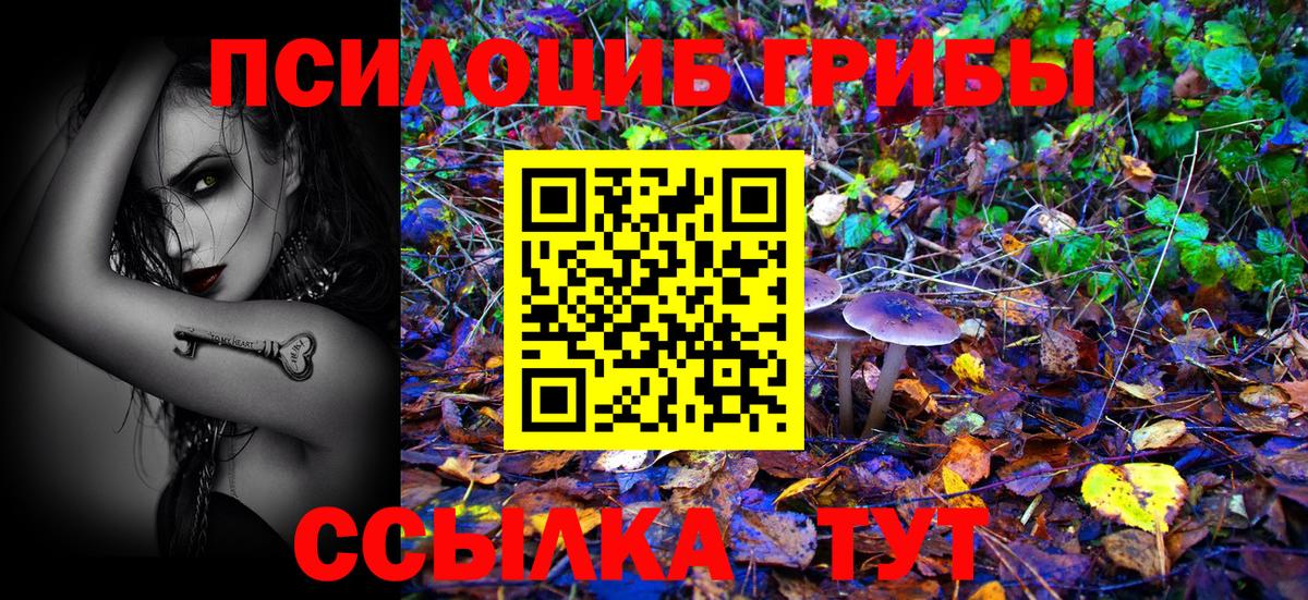 Псилоцибиновые грибы Psilocybine cubensis  Вход с VPN  Галлюциногенные грибы Psilocybine cubensis  Ревда 